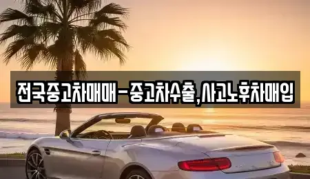 울산 동구 일산동 중고차 전문 전국중고차매매-중고차수출,사고노후차매입