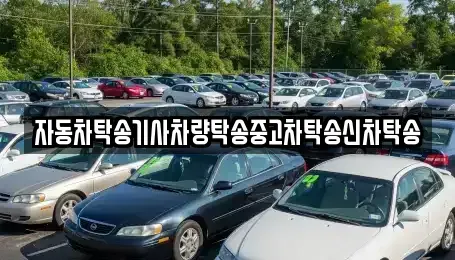 울산 중구 옥교동 중고차 전문 자동차탁송기사차량탁송중고차탁송신차탁송