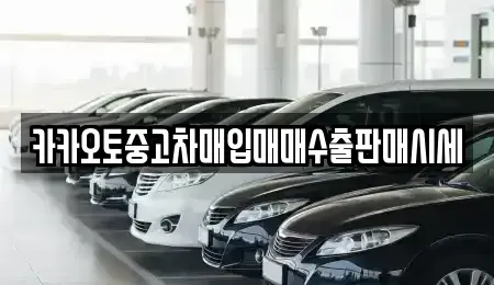 인천 중구 선린동 중고차매입 전문 카카오토중고차매입매매수출판매시세