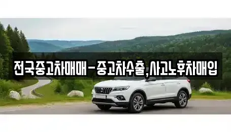 인천광역시 중구 운남동 중고차 전문 전국중고차매매-중고차수출,사고노후차매입