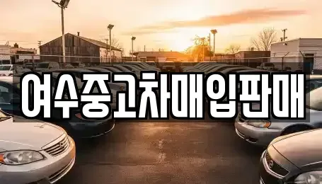 전남 여수시 중고차매입 전문 여수중고차매입판매