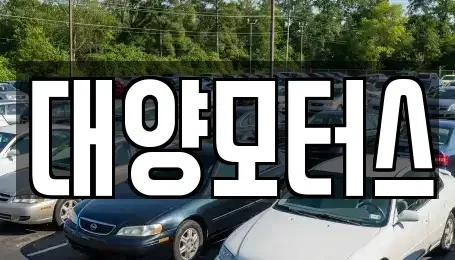 전남 장흥군 용산면 중고차매매 전문 대양모터스