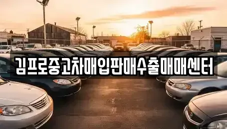 전라남도 나주시 중고차매입 전문 김프로중고차매입판매수출매매센터