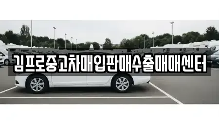 전라남도 무안군 일로읍 중고차매입 전문 김프로중고차매입판매수출매매센터
