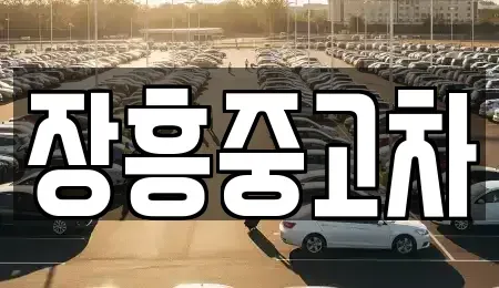 전라남도 장흥군 장흥읍 장기렌트카,중고차,렌트카,단기렌트카,중고차매입,중고차매매