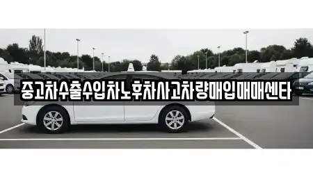 전라남도 장흥군 장흥읍 중고차 전문 중고차수출수입차노후차사고차량매입매매센타