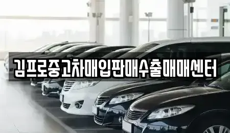 전라남도 장흥군 장흥읍 중고차매입 전문 김프로중고차매입판매수출매매센터