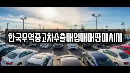 전라남도 장흥군 장흥읍 중고차매입 전문 한국무역중고차수출매입매매판매시세