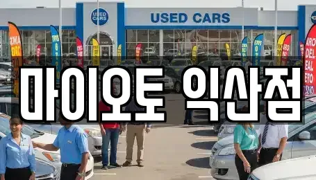 전북 익산시 평화동 장기렌트카 전문 마이오토 익산점