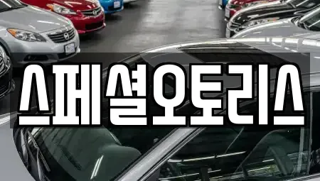 전북 익산시 평화동 장기렌트카 전문 스페셜오토리스