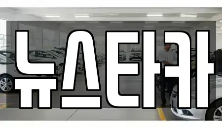 전북 전주시 덕진구 여의동2가 중고차매매 전문 뉴스타카