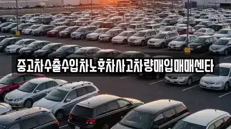 전북특별자치도 김제시 용동 중고차 전문 중고차수출수입차노후차사고차량매입매매센타
