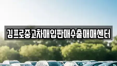 전북특별자치도 김제시 용동 중고차매입 전문 김프로중고차매입판매수출매매센터