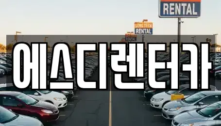 전북특별자치도 익산시 신용동 장기렌트카 전문 에스디렌터카