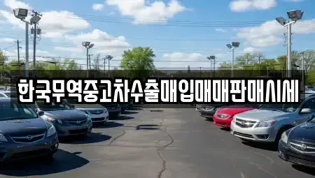 전북특별자치도 익산시 신용동 중고차 전문 한국무역중고차수출매입매매판매시세