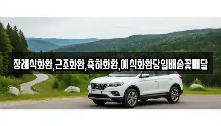 제주 제주시 오라삼동 중고차매입 전문 장례식화환,근조화환,축하화환,예식화환당일배송꽃배달
