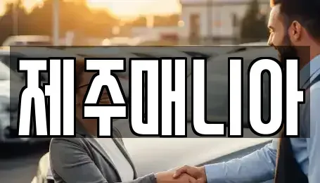 제주 제주시 일도이동 렌트카 전문 제주매니아