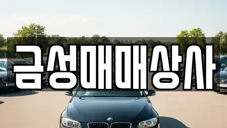 충남 논산시 강산동 중고차매매 전문 금성매매상사