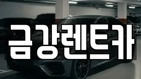 충남 서산시 예천동 렌트카 전문 금강렌트카