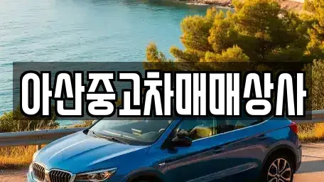충남 아산시 배미동 중고차 전문 아산중고차매매상사