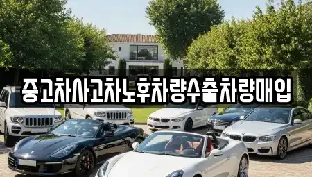 충남 아산시 배미동 중고차 전문 중고차사고차노후차량수출차량매입