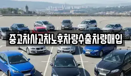 충북 제천시 명지동 중고차매입 전문 중고차사고차노후차량수출차량매입