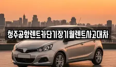 충북 청주시 흥덕구 문암동 렌트카 전문 청주공항렌트카단기장기월렌트사고대차