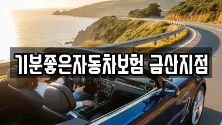 충청남도 금산군 군북면 렌트카 전문 기분좋은자동차보험 금산지점