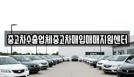 충청남도 보령시 화산동 중고차 전문 중고차수출업체중고차매입매매지원센터