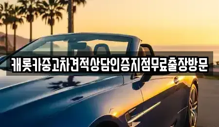 충청남도 보령시 화산동 중고차 전문 캐롯카중고차견적상담인증지점무료출장방문