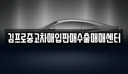충청남도 보령시 화산동 중고차매입 전문 김프로중고차매입판매수출매매센터