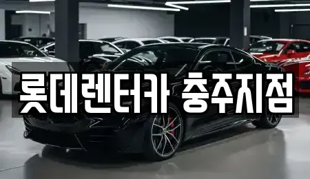 충청북도 제천시 장기렌트카 전문 롯데렌터카 충주지점